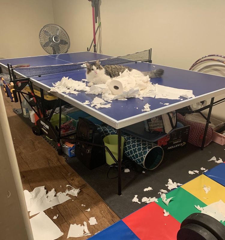 08-15-41-1661344862720669818