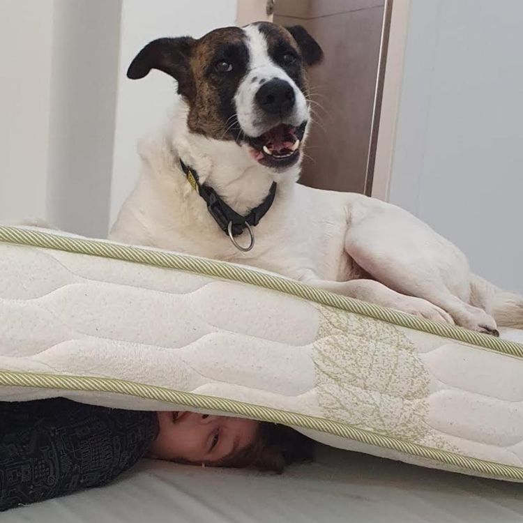 08-15-41-1661344866666923509