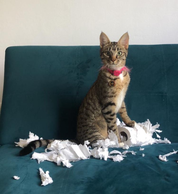 08-15-41-166134487536225717