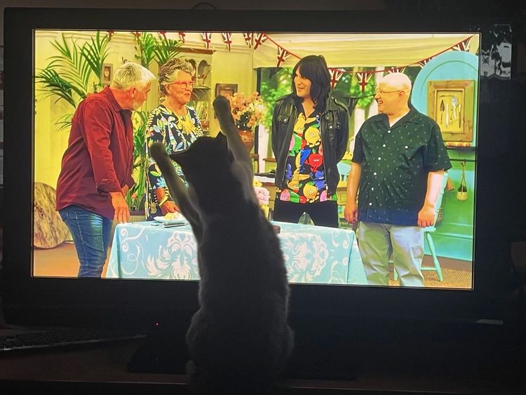 08-15-41-16613448861258647784