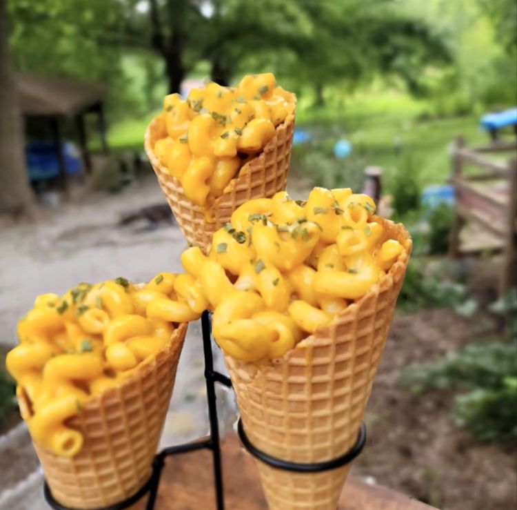 08-16-03-16595318281306331544