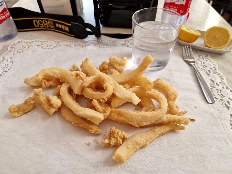 08-16-03-16595318341467456233