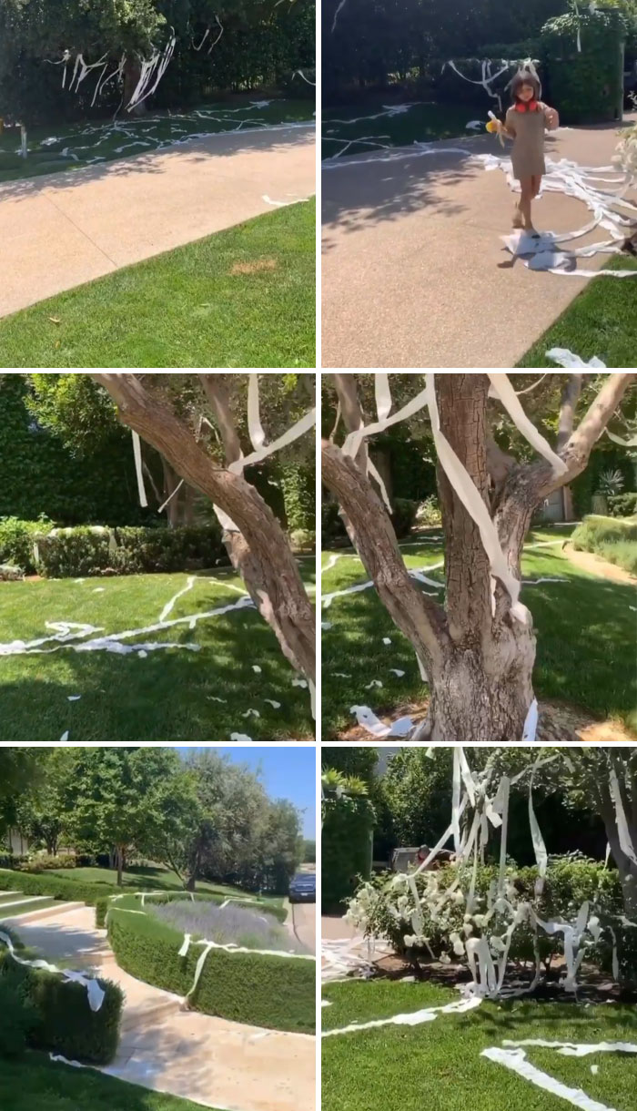 08-17-00-1660140034785608576