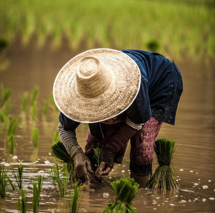 08-17-48-16608340902130990739