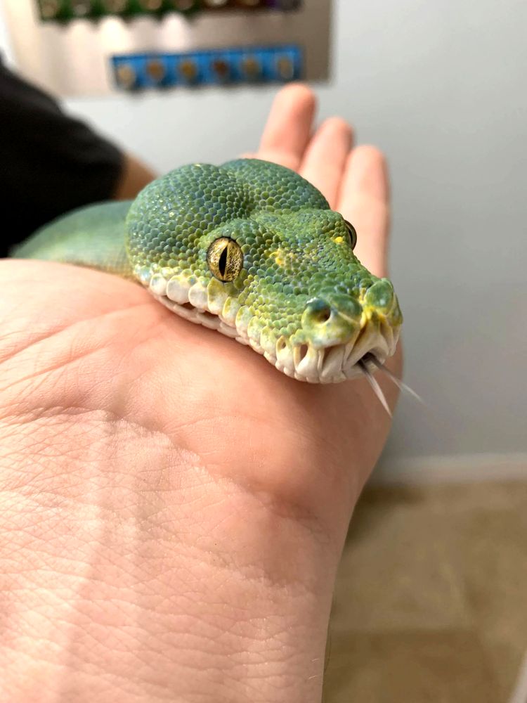 08-18-17-16595398451055822046