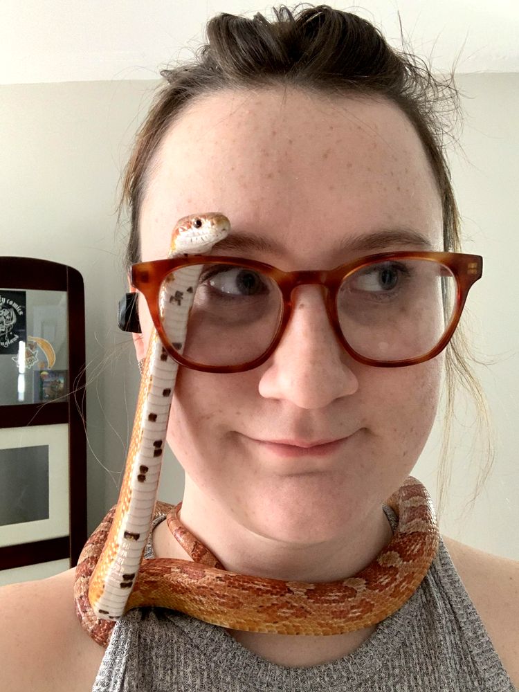 08-18-17-16595398511775061039