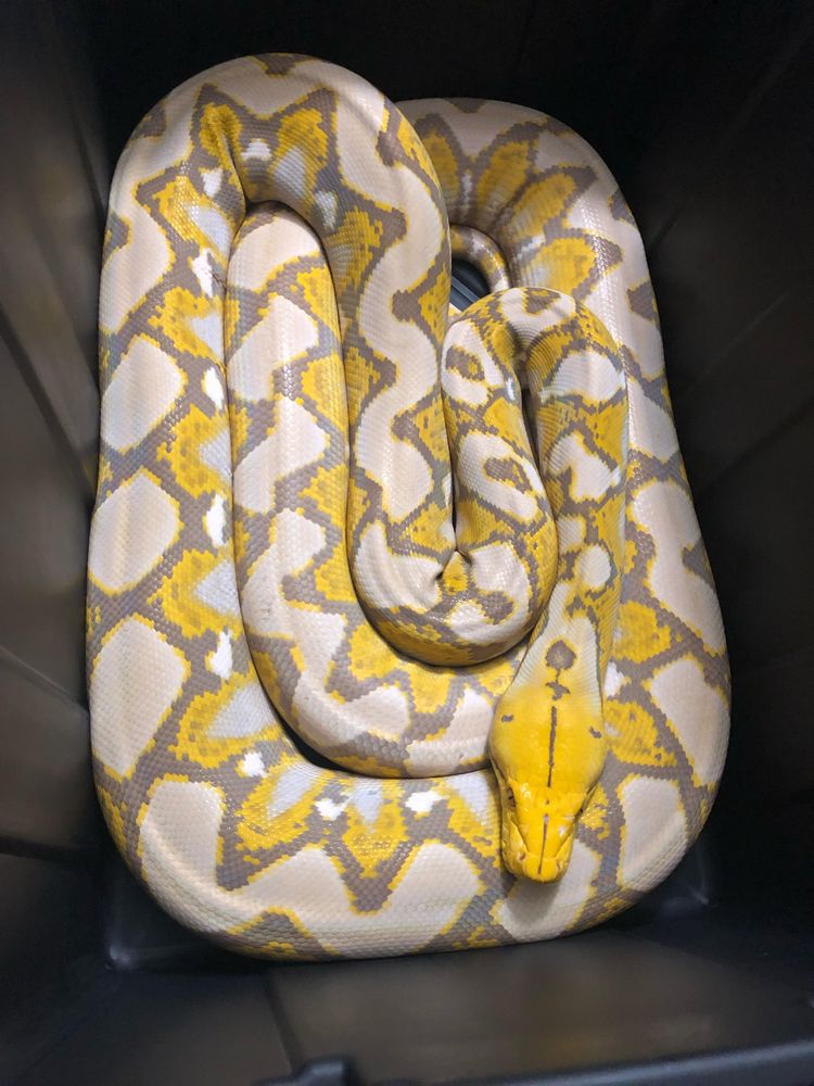 08-18-17-1659539858472997605