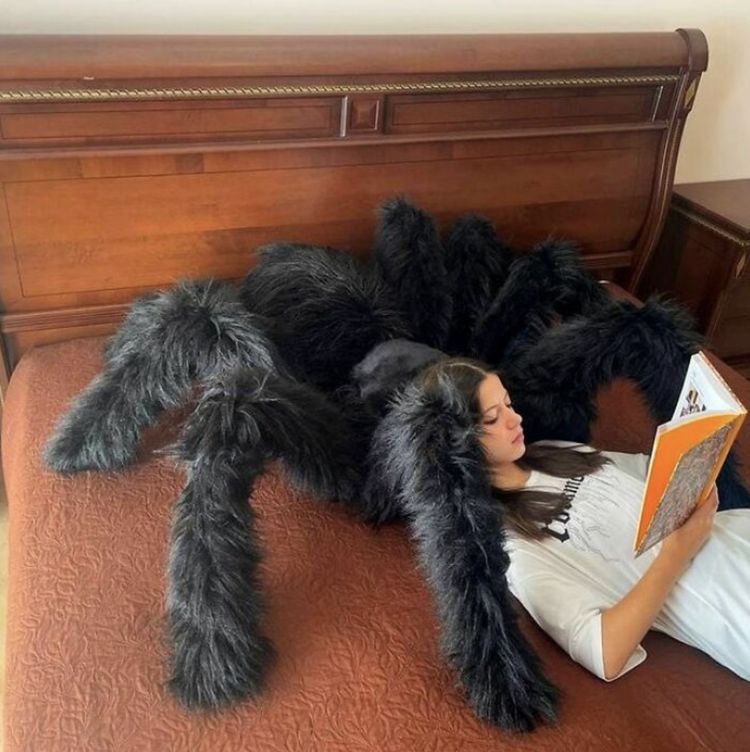 08-18-20-16602312461987676787