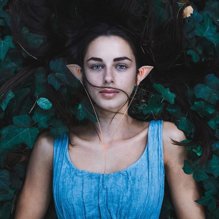 08-18-21-16602312611203375721