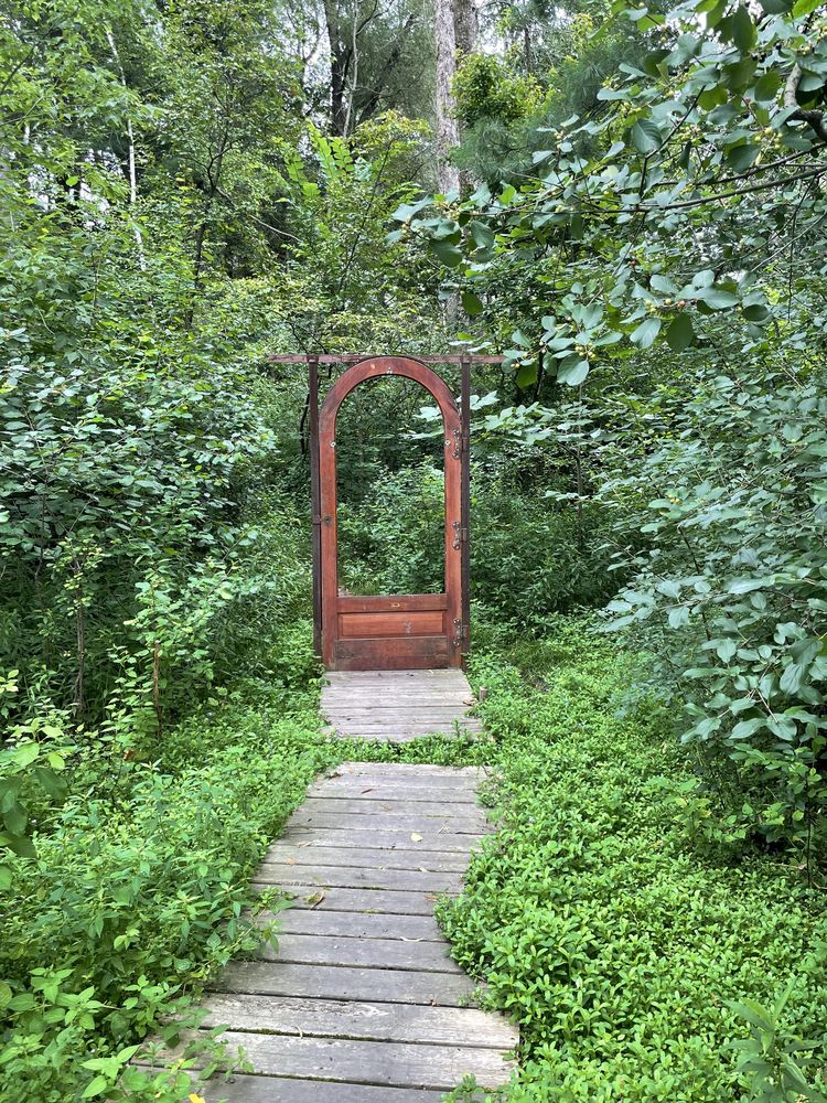 08-20-18-16613614831736107718