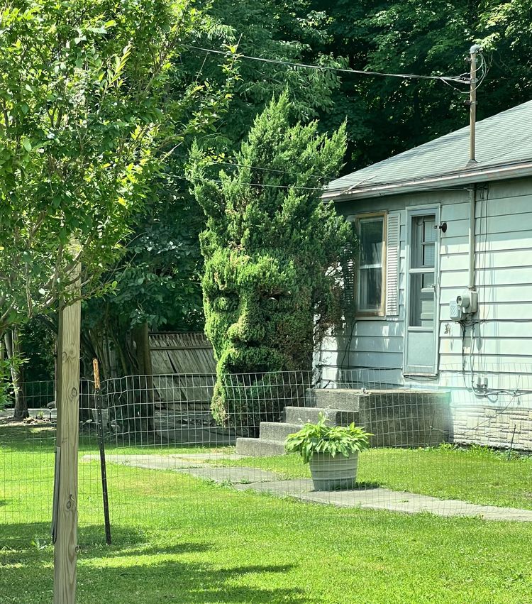 08-20-18-16613615111861782070