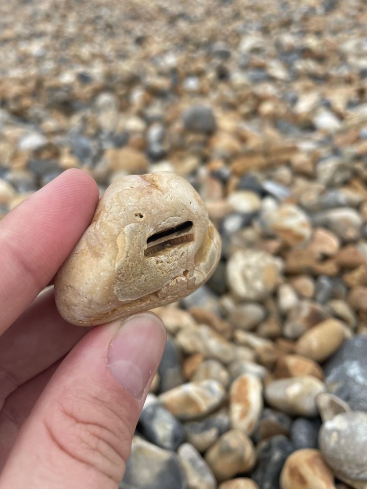 08-20-18-1661361520258232609