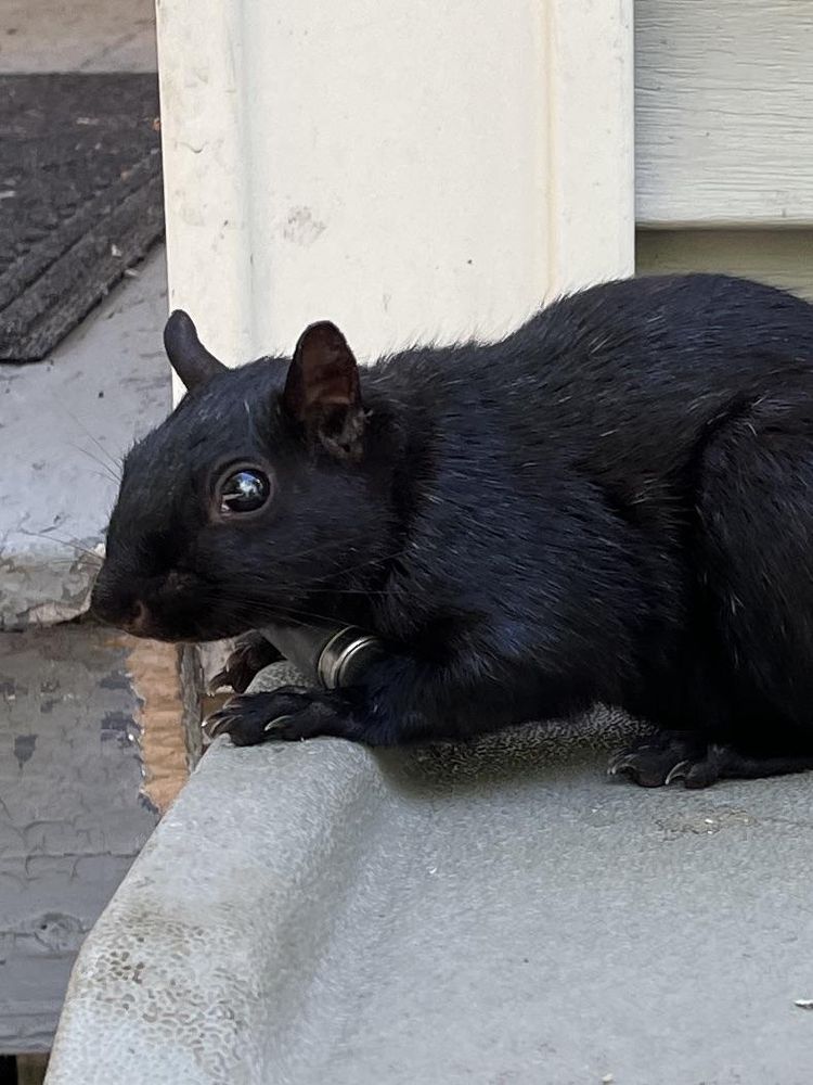 08-21-56-1661194610830050446