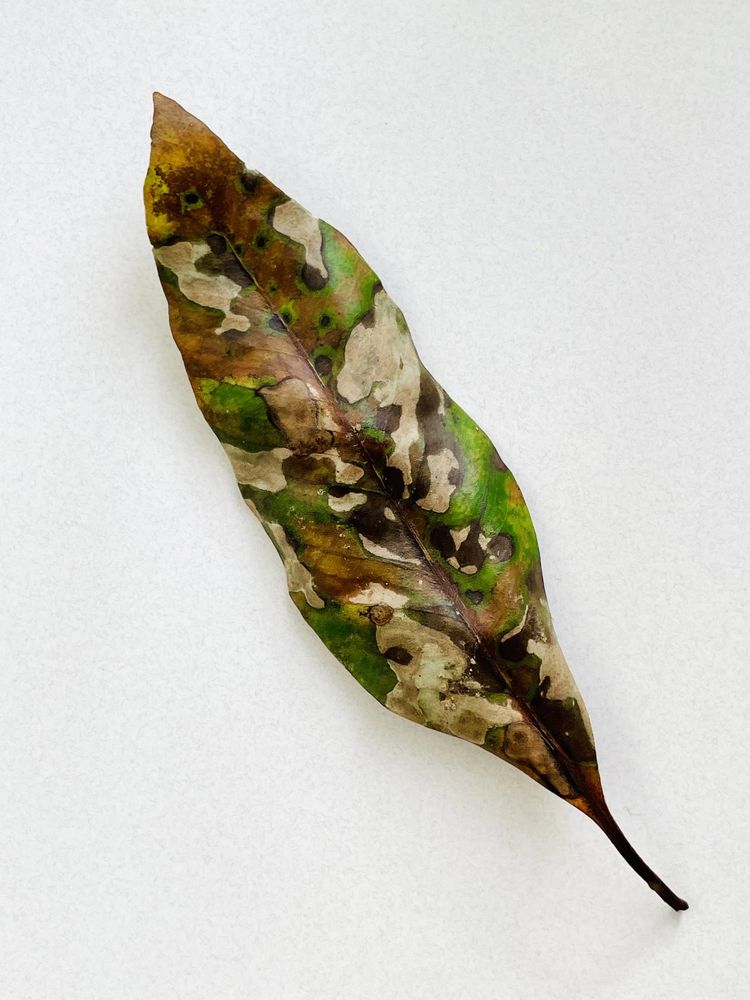 08-21-57-1661194636215503463