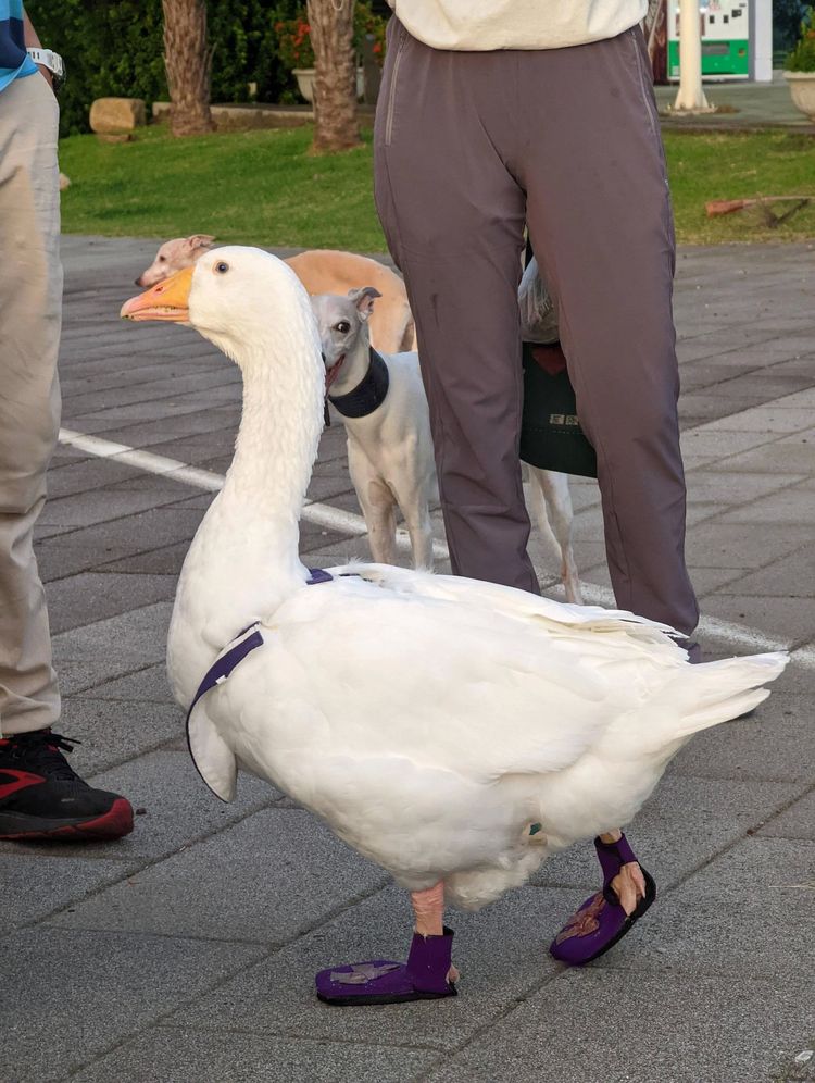 08-21-58-16611947111885275084