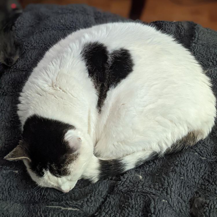 08-21-58-16611947251233443087