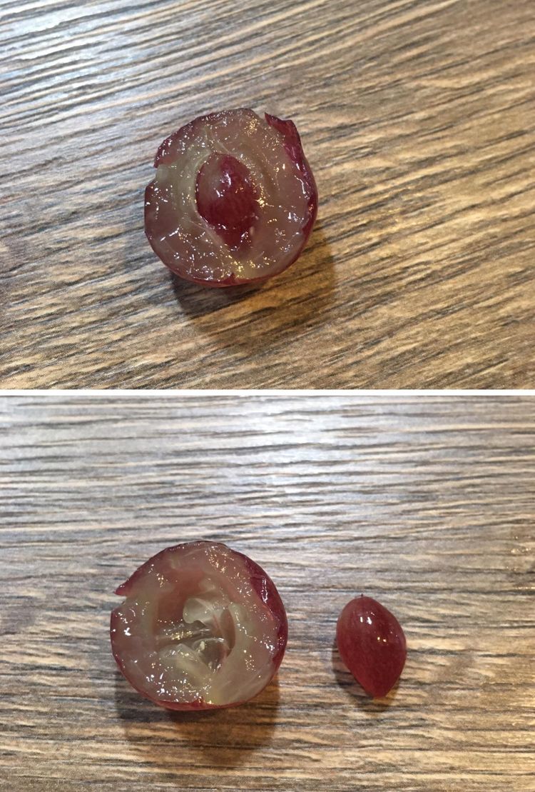 08-21-58-1661194727689017137