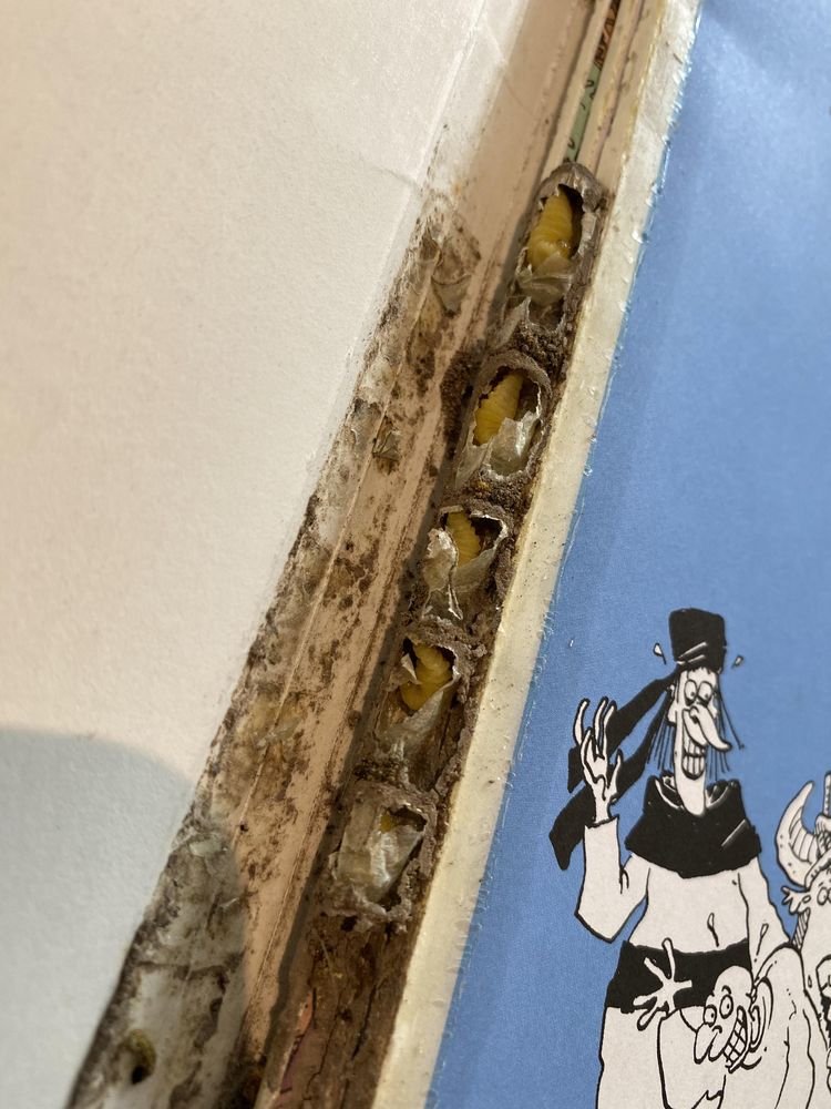 08-21-59-1661194746799371858