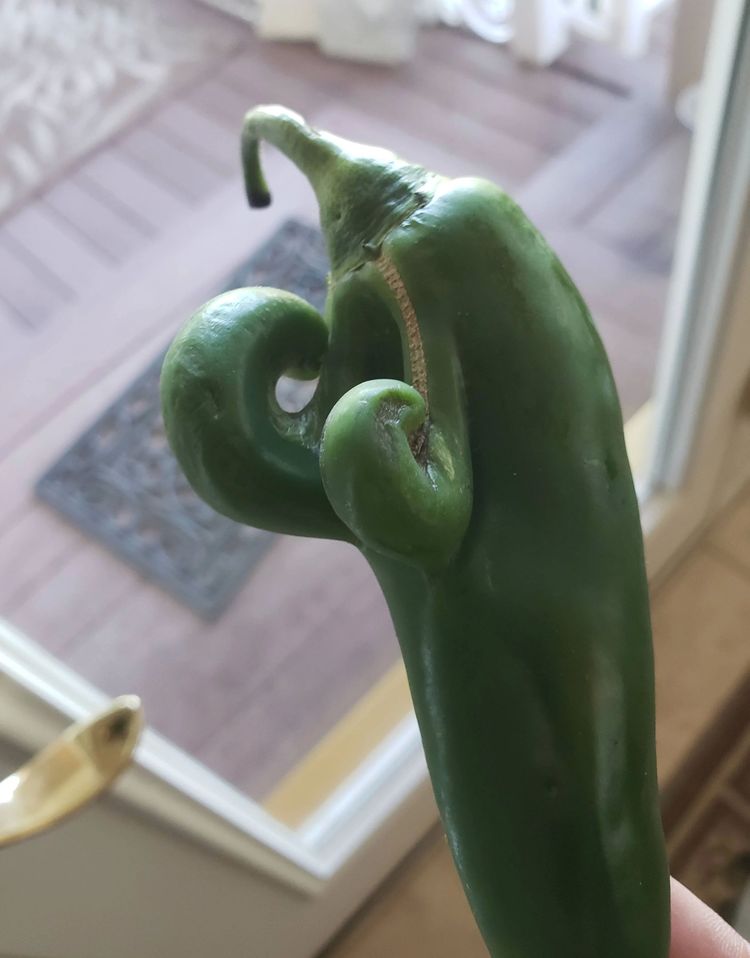 08-21-59-166119475111043381