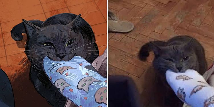 09-11-06-1662537993789449866