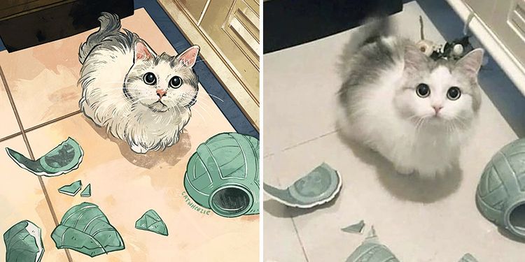 09-11-06-1662537994438837152