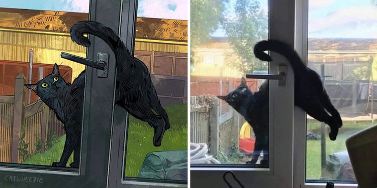 09-11-06-1662537994804599764