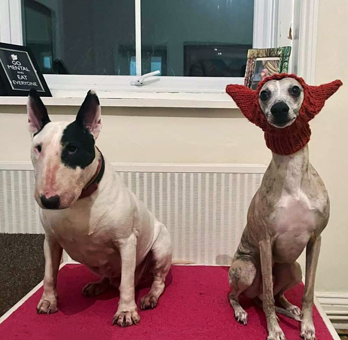 09-12-52-1662371555864932812