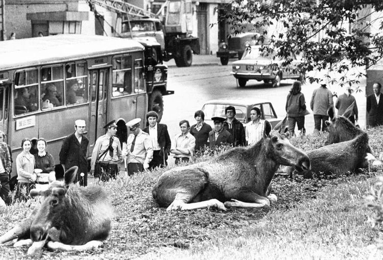 09-14-36-16626369991910865917