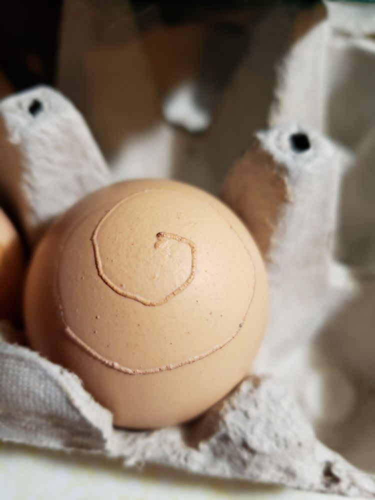 09-14-49-1662464973473695542