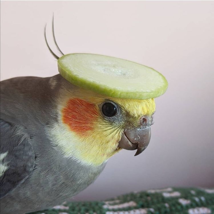 09-16-25-16624707462088503304