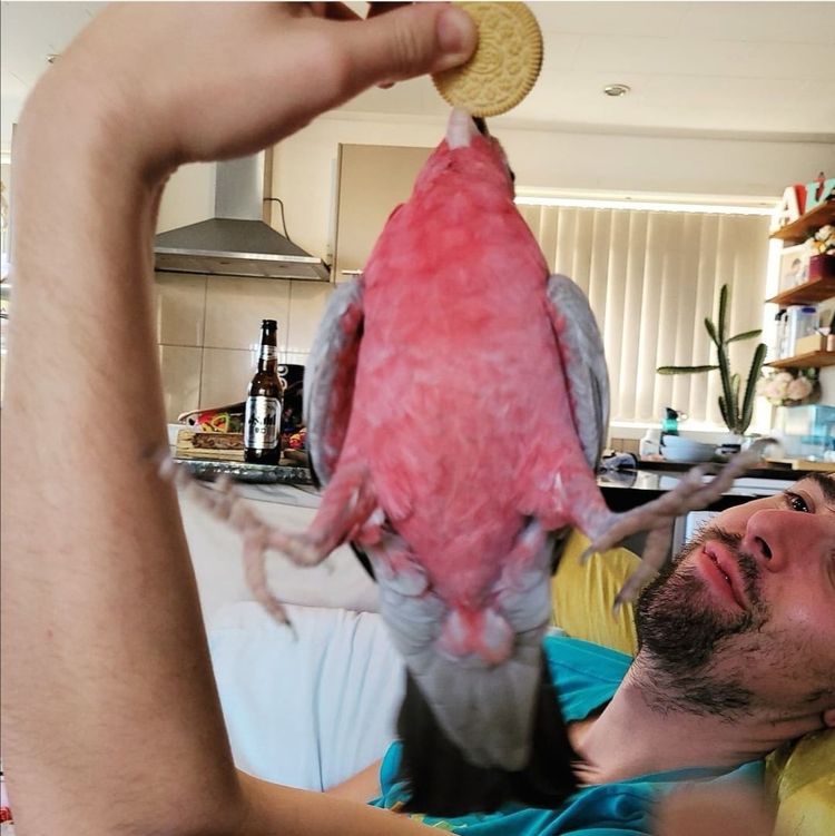 09-16-25-1662470750602872476