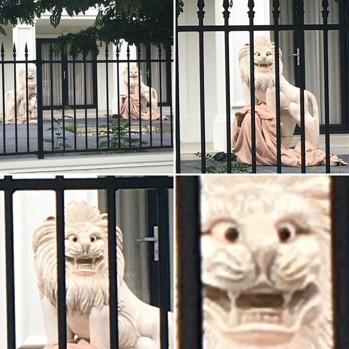 09-20-04-16623974611586727844