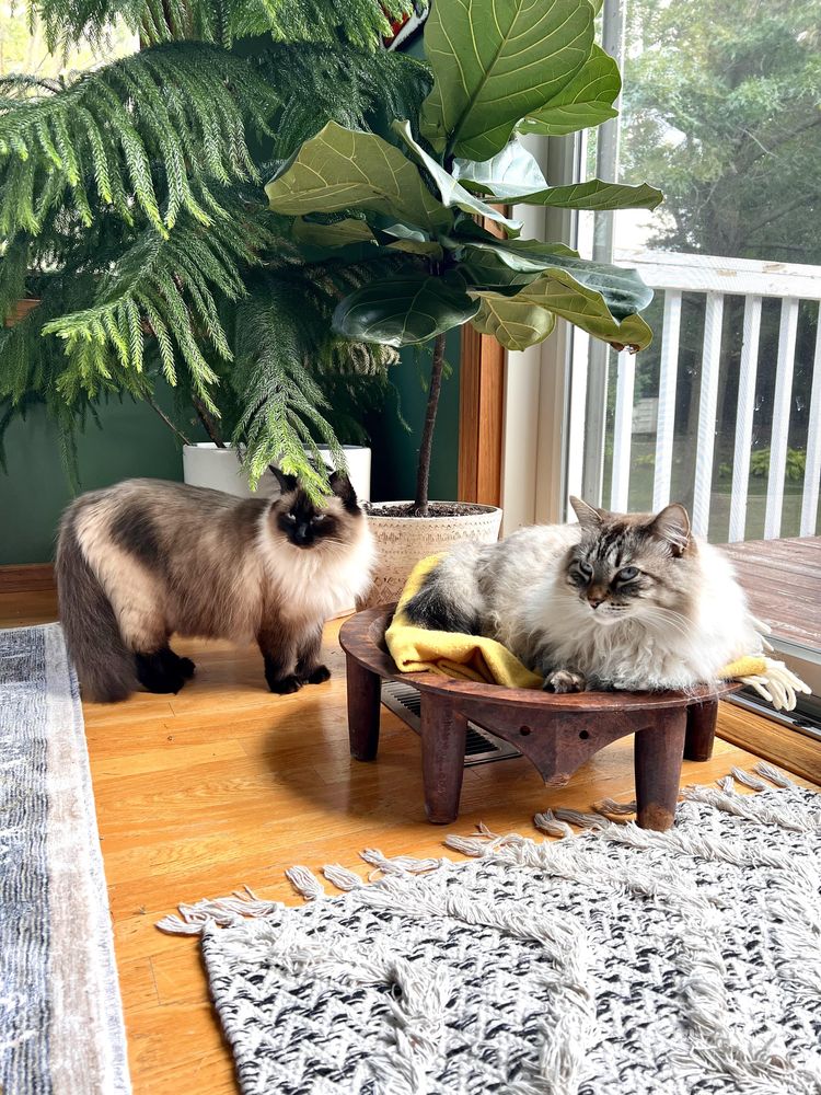 image-20220912143029-2