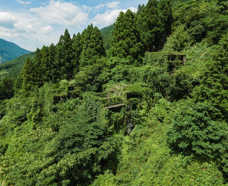 image-20220913131806-3