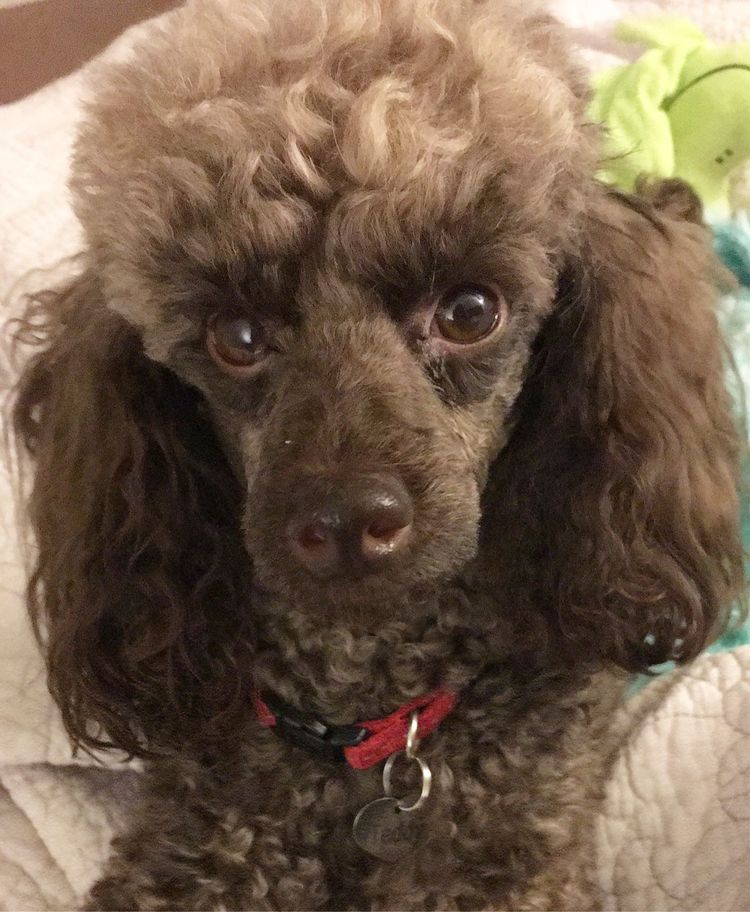 image-20220913134644-5