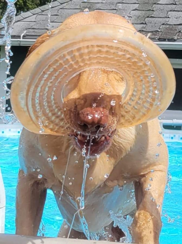 image-20220914135423-5