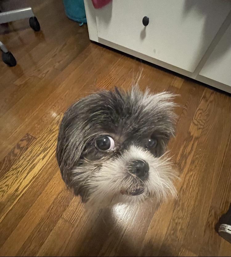 image-20220914135430-7