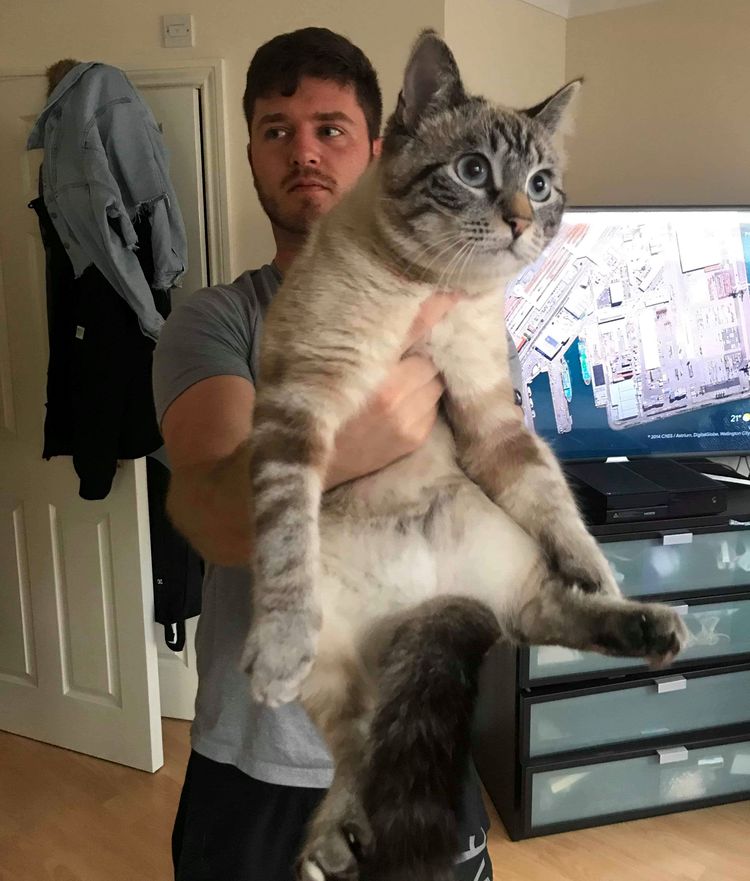 image-20220914140956-16