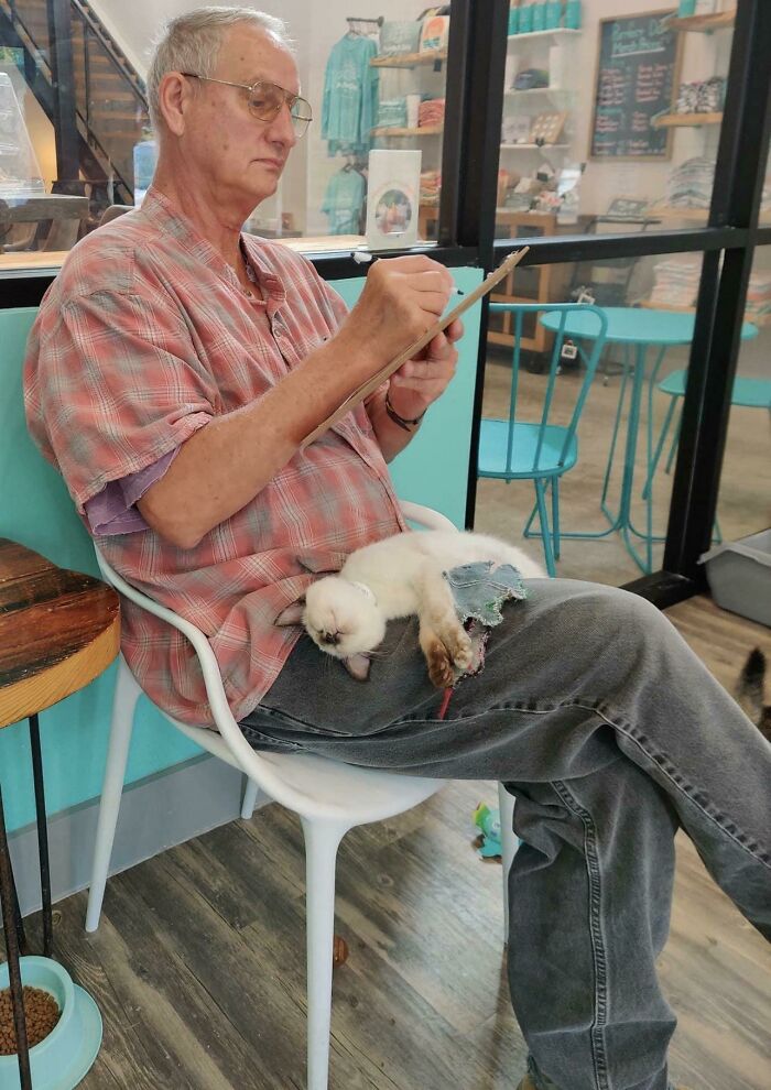 image-20220914155323-2