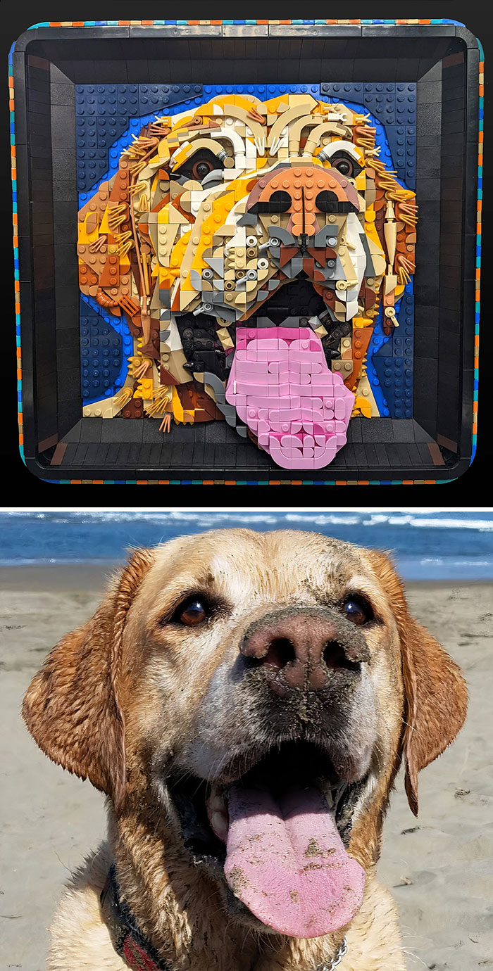 image-20220914155345-8