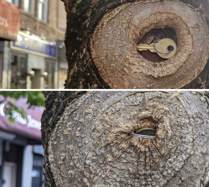 image-20220915115005-7