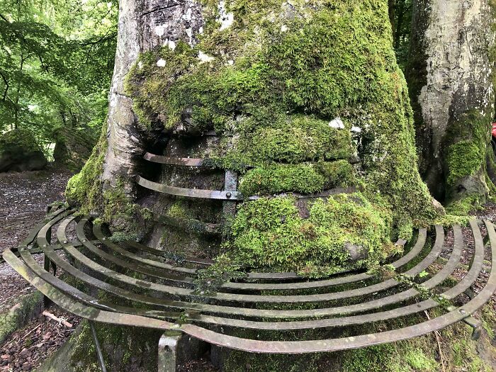 image-20220915115040-14