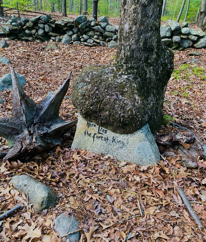 image-20220915115043-15