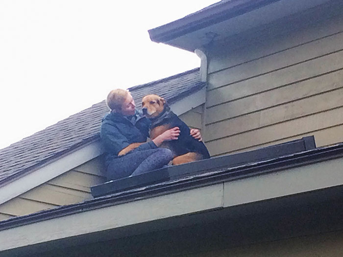 image-20220915153911-5