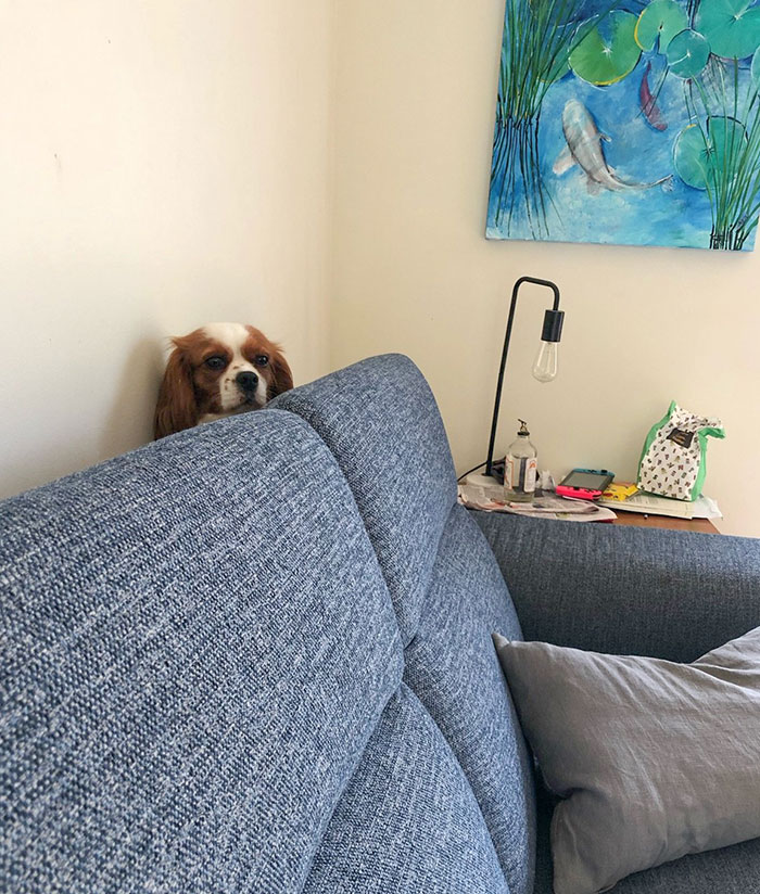 image-20220915153917-7