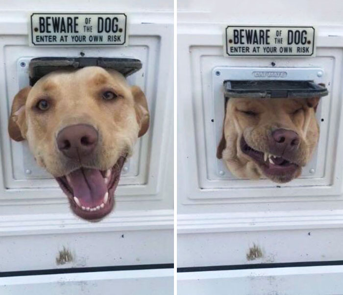 image-20220915153929-10