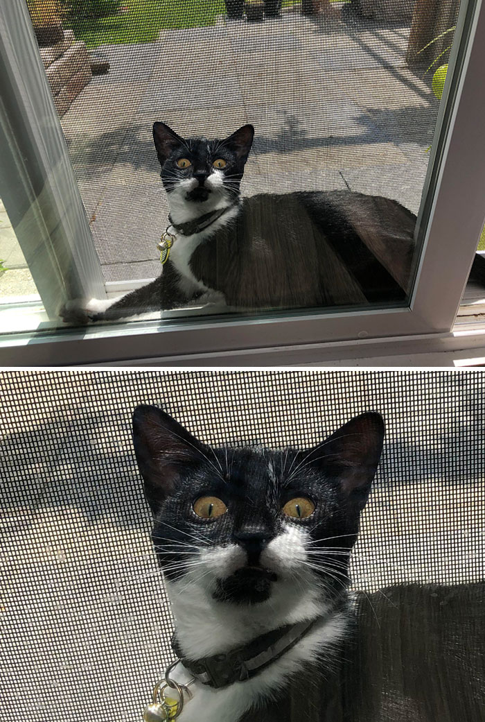 image-20220915153937-12