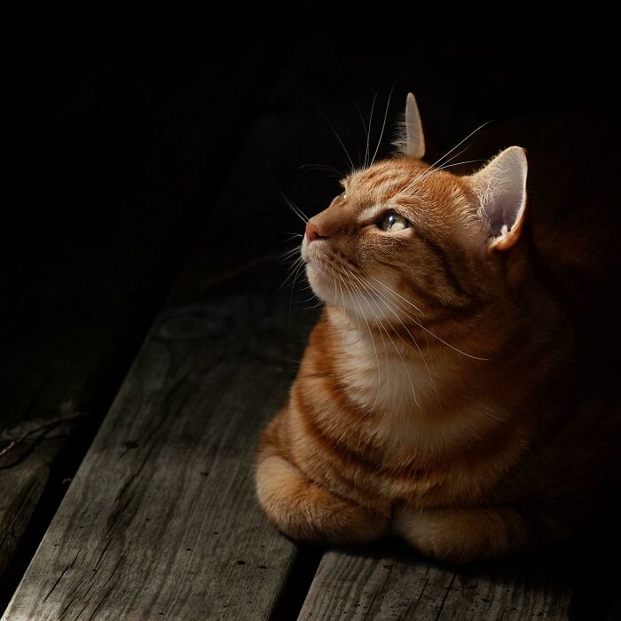 image-20220916132337-2