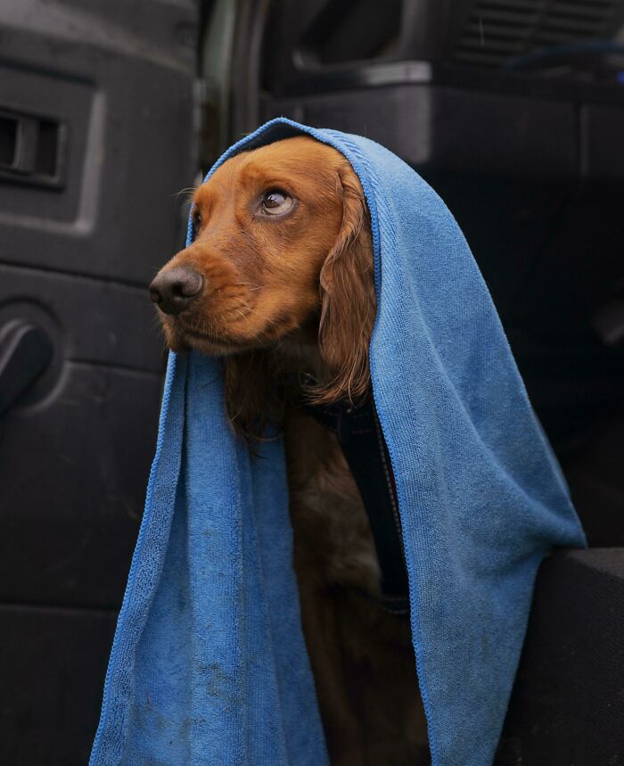 image-20220916132343-4