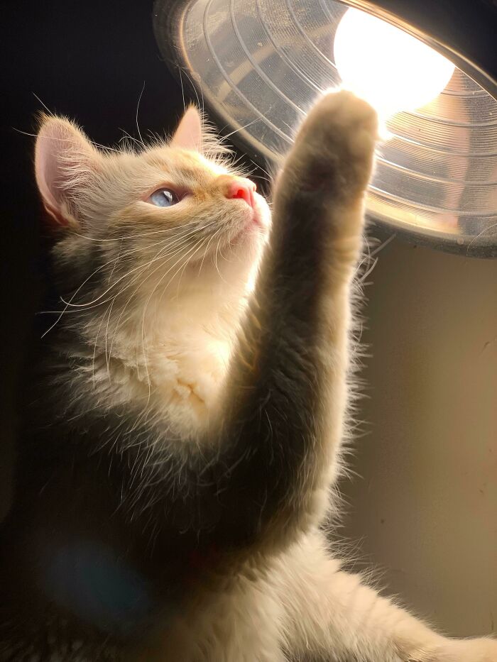 image-20220916132406-11